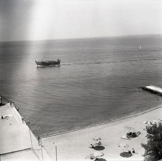 Kadıköy Sözlüğü (29)